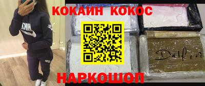 крисы Новодвинск