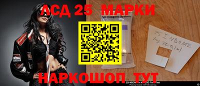 крисы Новодвинск