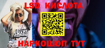 гашик Новокубанск