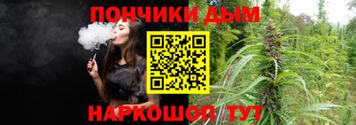 крисы Новодвинск