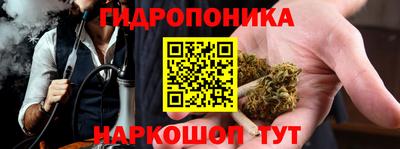spice Новозыбков