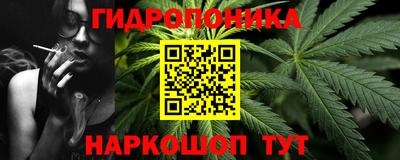 гашик Новокубанск