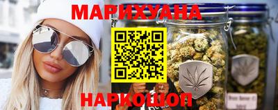 крисы Новодвинск