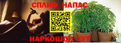 гашик Новокубанск