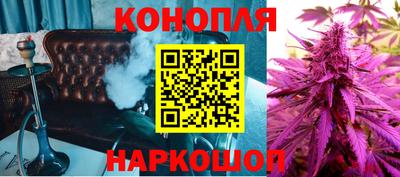 крисы Новодвинск