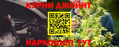 крисы Новодвинск