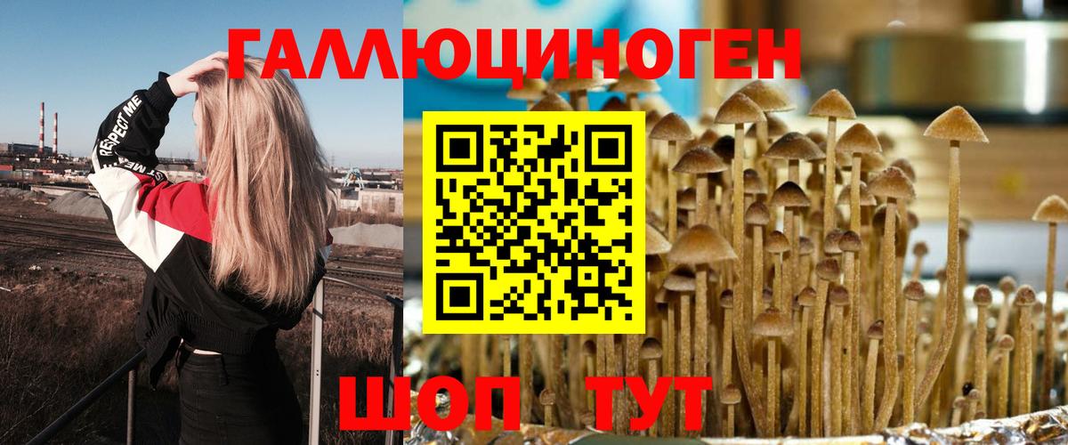 Псилоцибиновые грибы мицелий Хабаровск